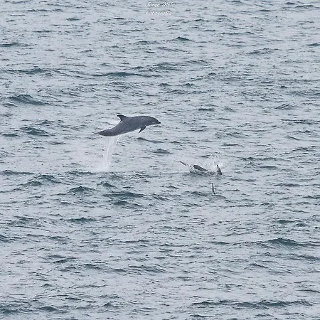 Apartament Lagos Beach Condo Lagos