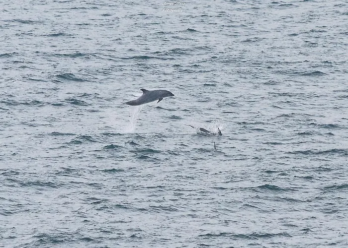 Lägenhet Lagos Beach Condo Lagos